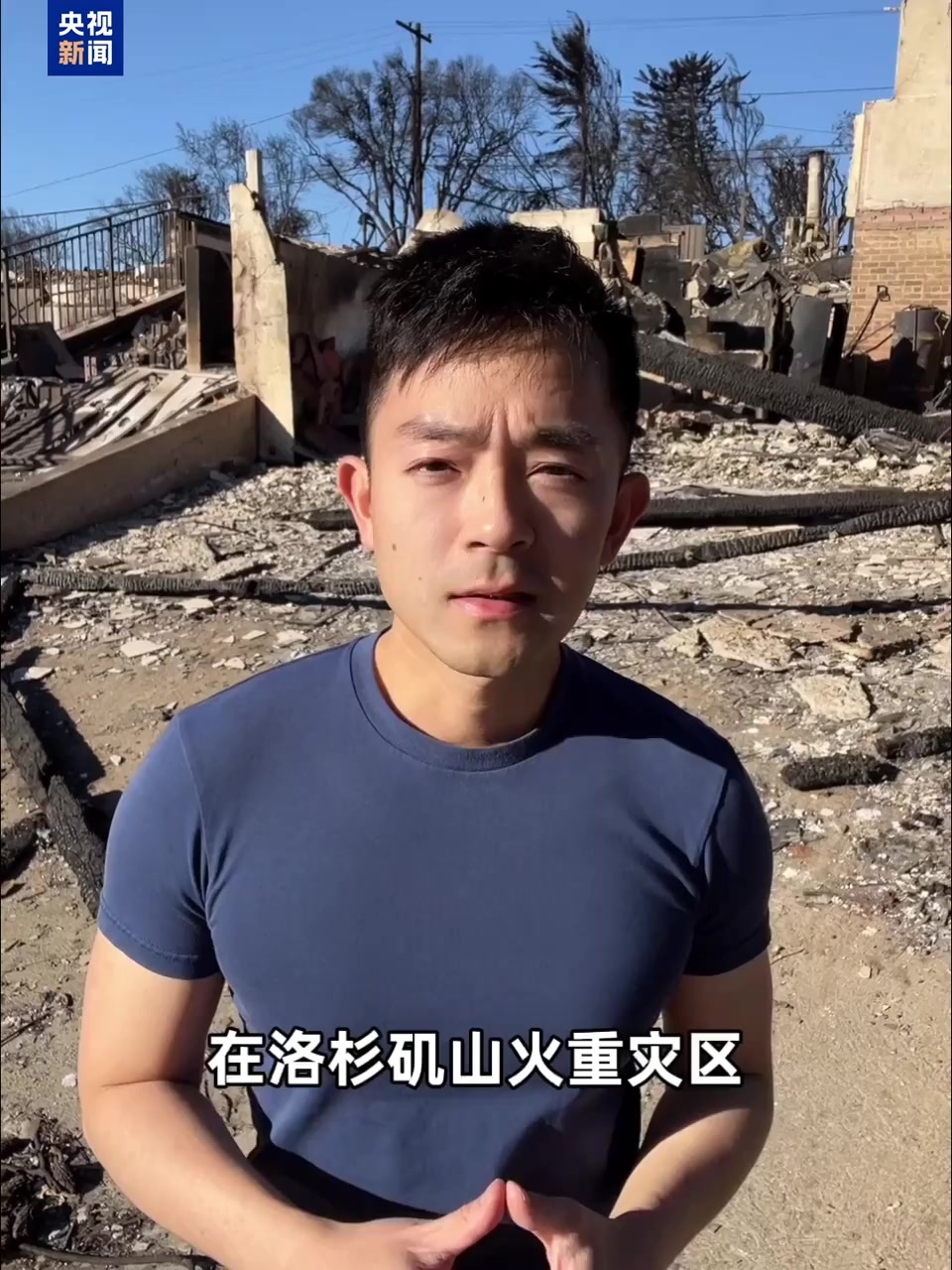 球迷和专家